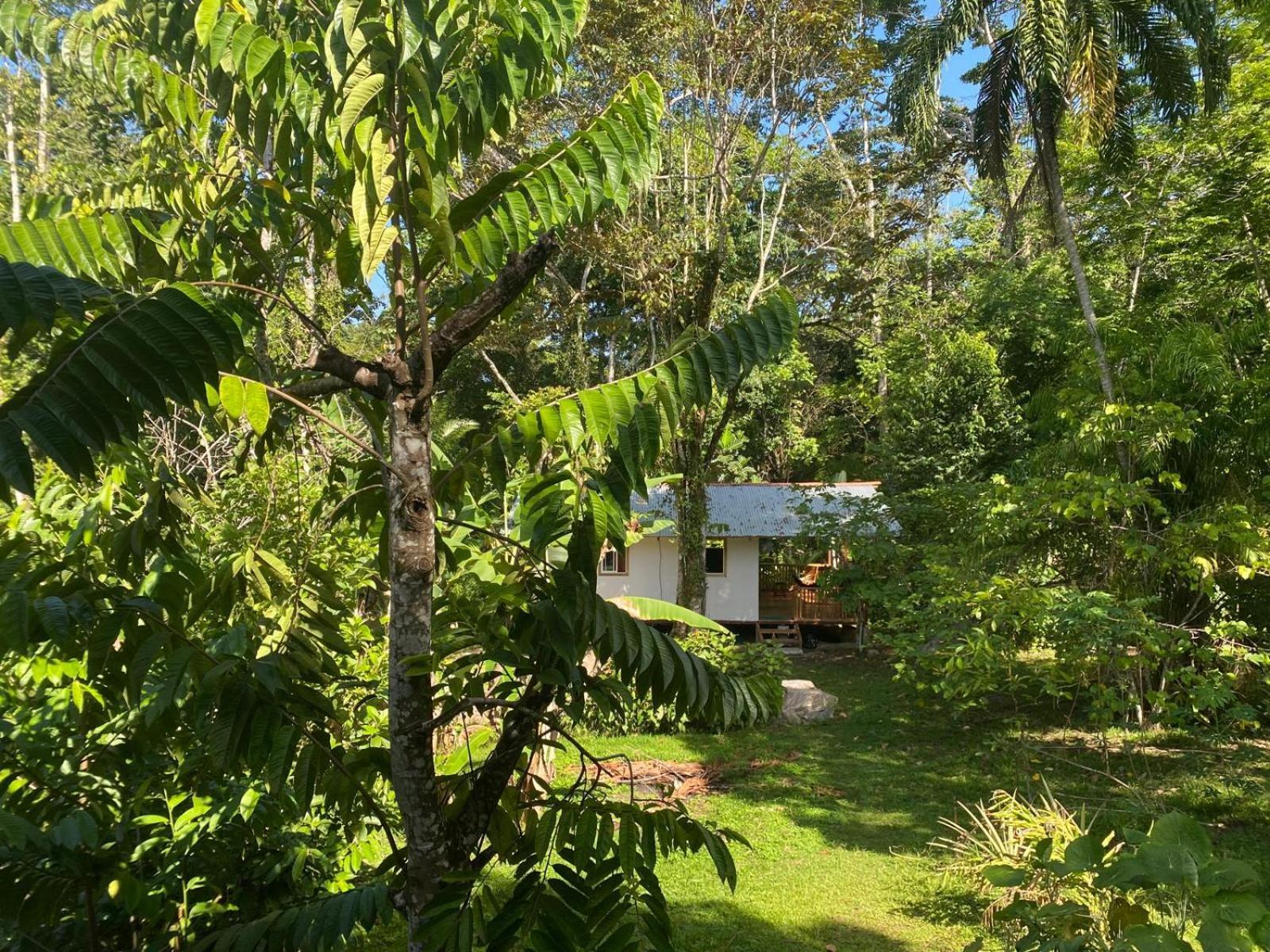 Caribbean Retreats Villa Коклес Екстериор снимка