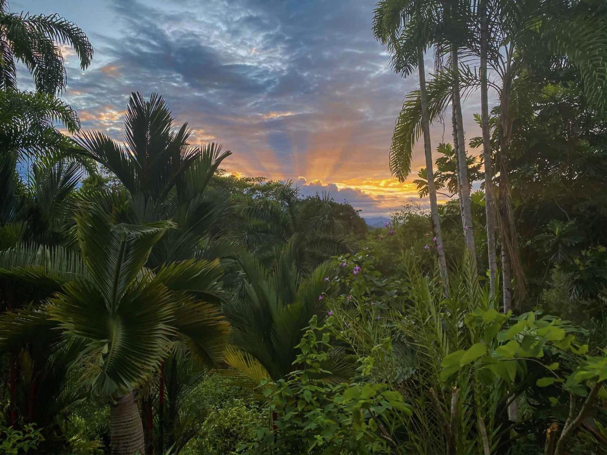 Caribbean Retreats Villa Коклес Екстериор снимка